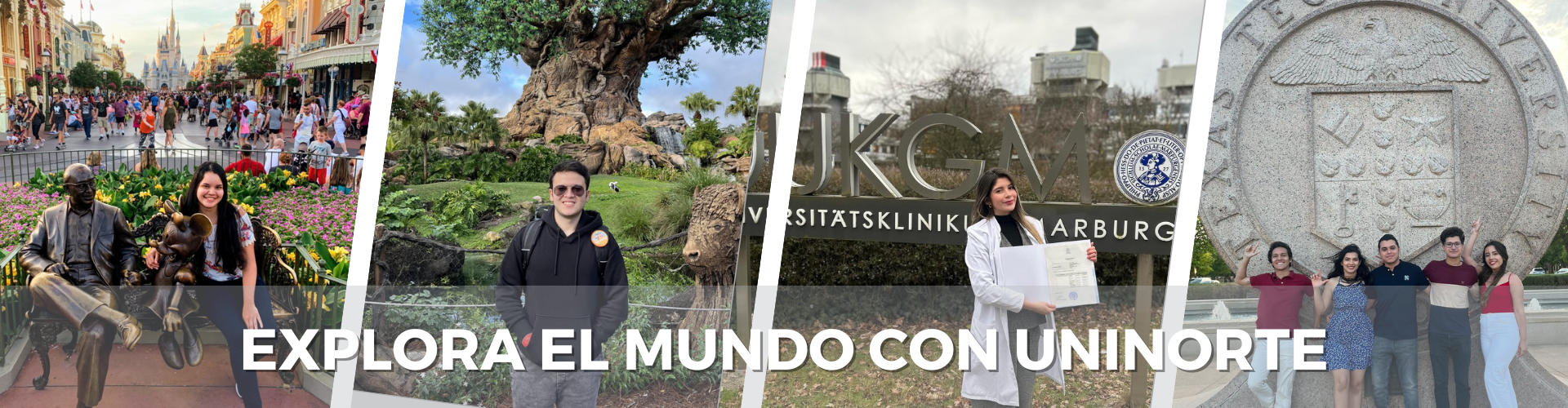 Second Responsive Image