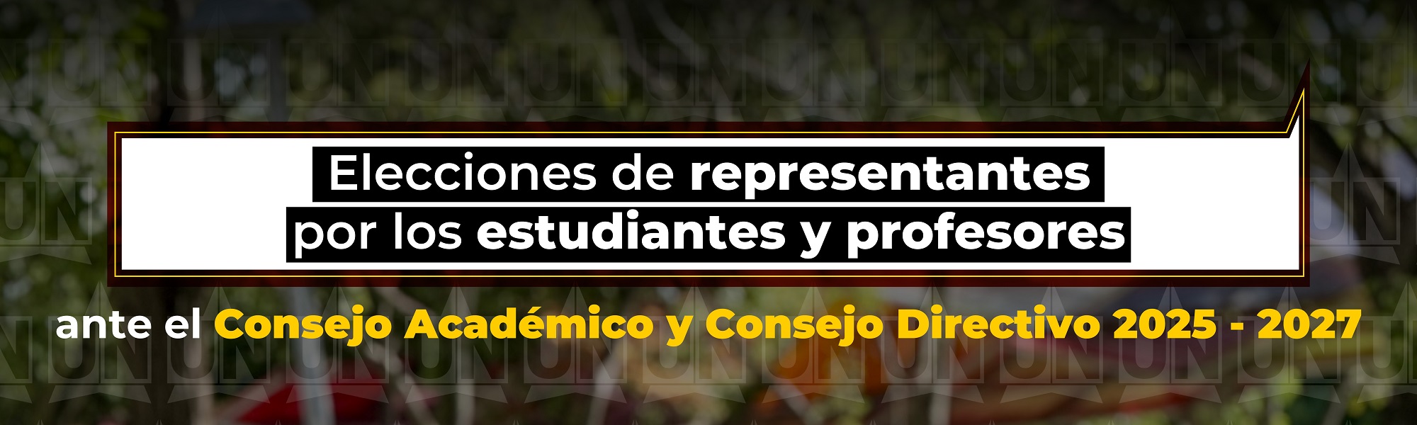 Elecciones representantes ante el Consejo Directivo y el Consejo Académico